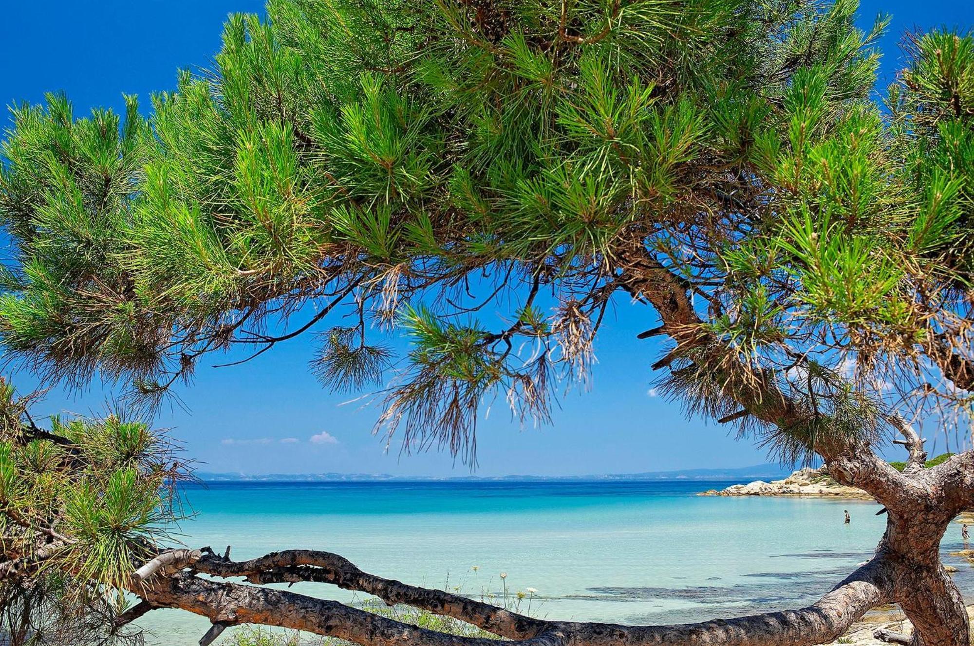 Ikos Olivia Hotel Jerakiní Kültér fotó
